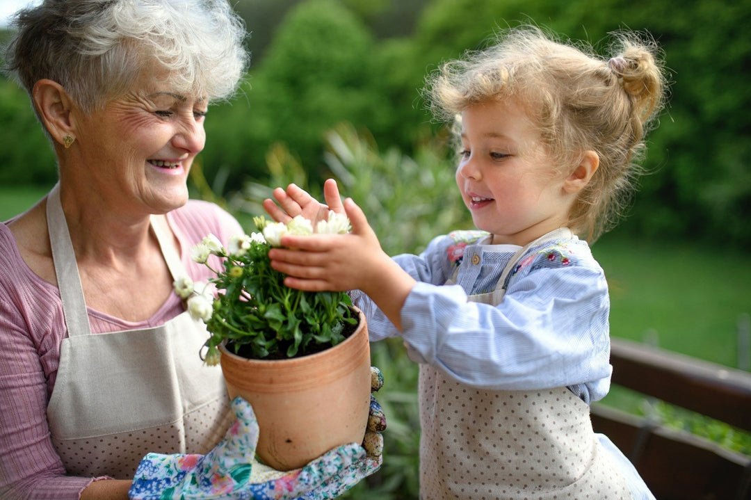 Nature as Medicine: How Connecting With Our Environment Supports Your Health - Echo Market