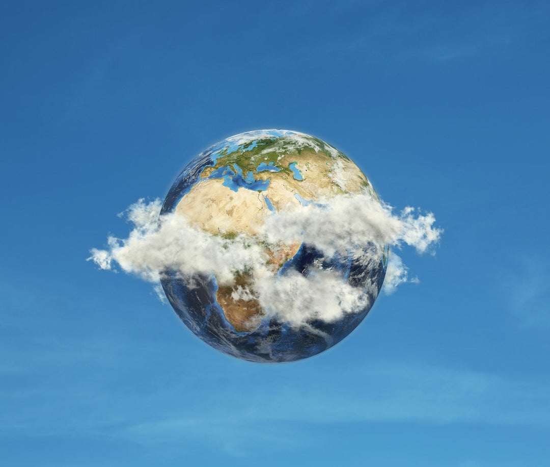 The Alchemy of Action: How to Elevate Your Wellness Into Activism - Echo Market