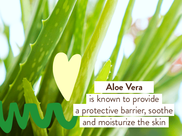After Sun Aloe & Cucumber Soothing Mist - Echo Market