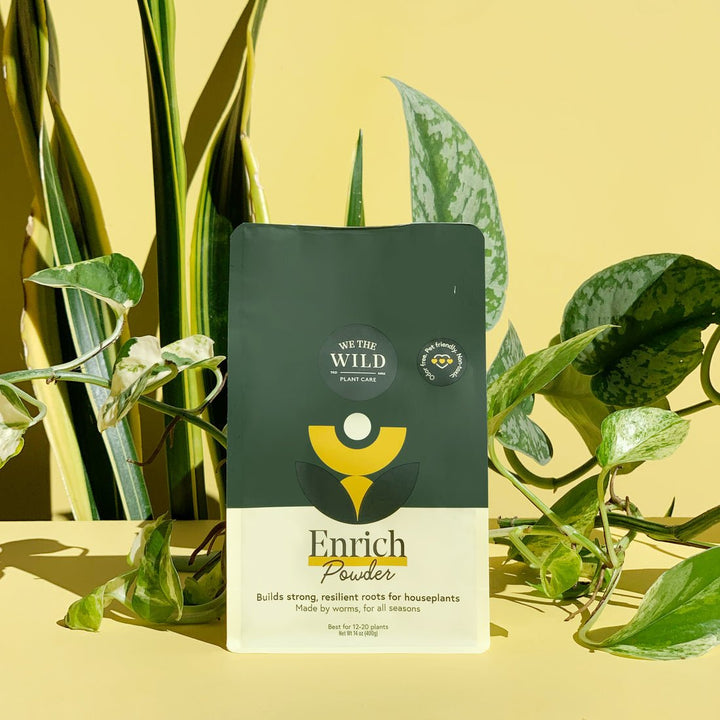 Enrich Powder | Slow - Release Houseplant Food - Echo Market
