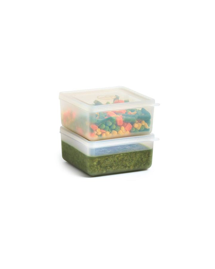 Freezer Cube Storage Containers - Echo Market