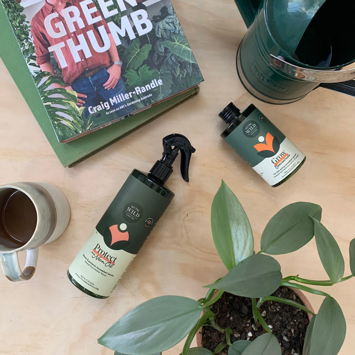 Grow Concentrate | Fast - Acting Houseplant Food - Echo Market