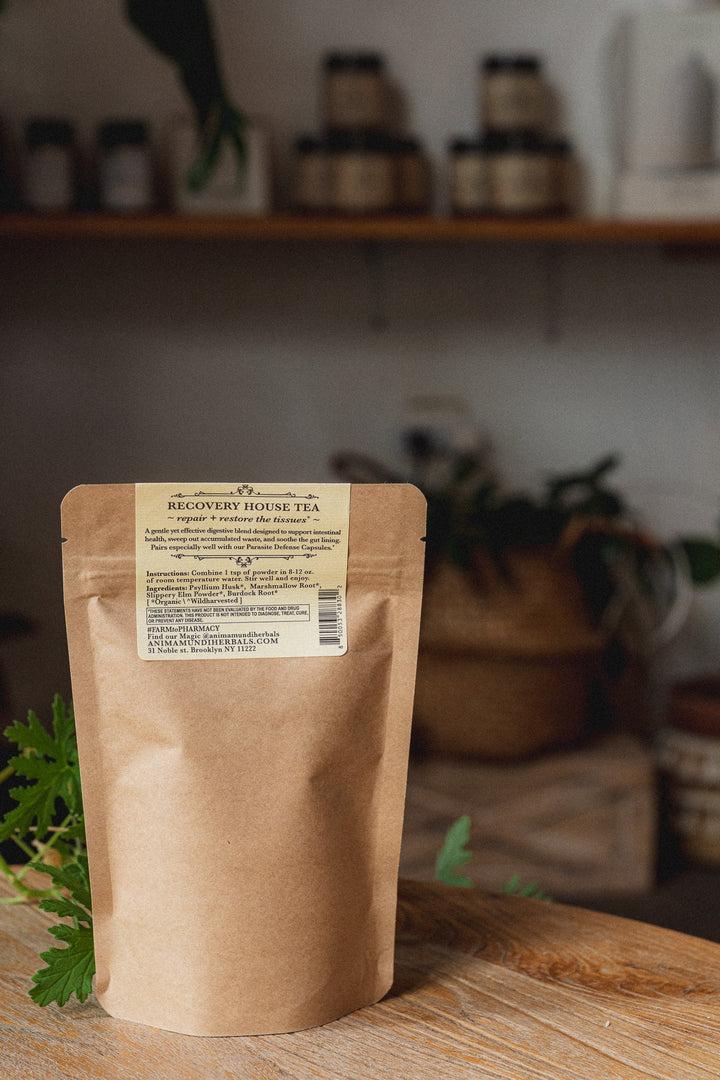 GUT SWEEP | Intestinal Love, Parasite Support Tea - Echo Market