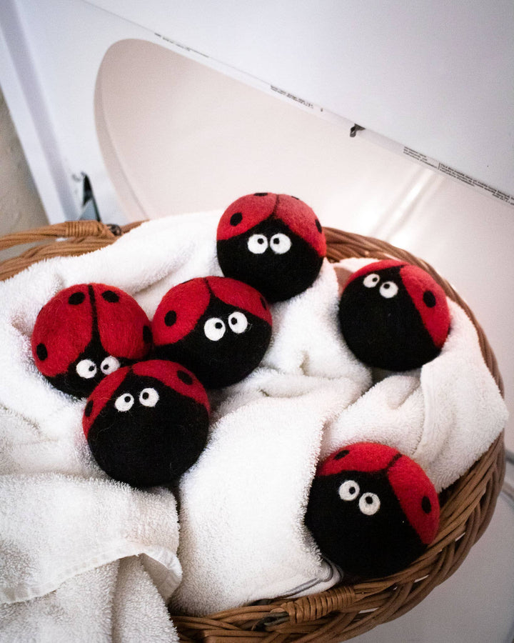 Ladybug Eco Dryer Balls - Echo Market