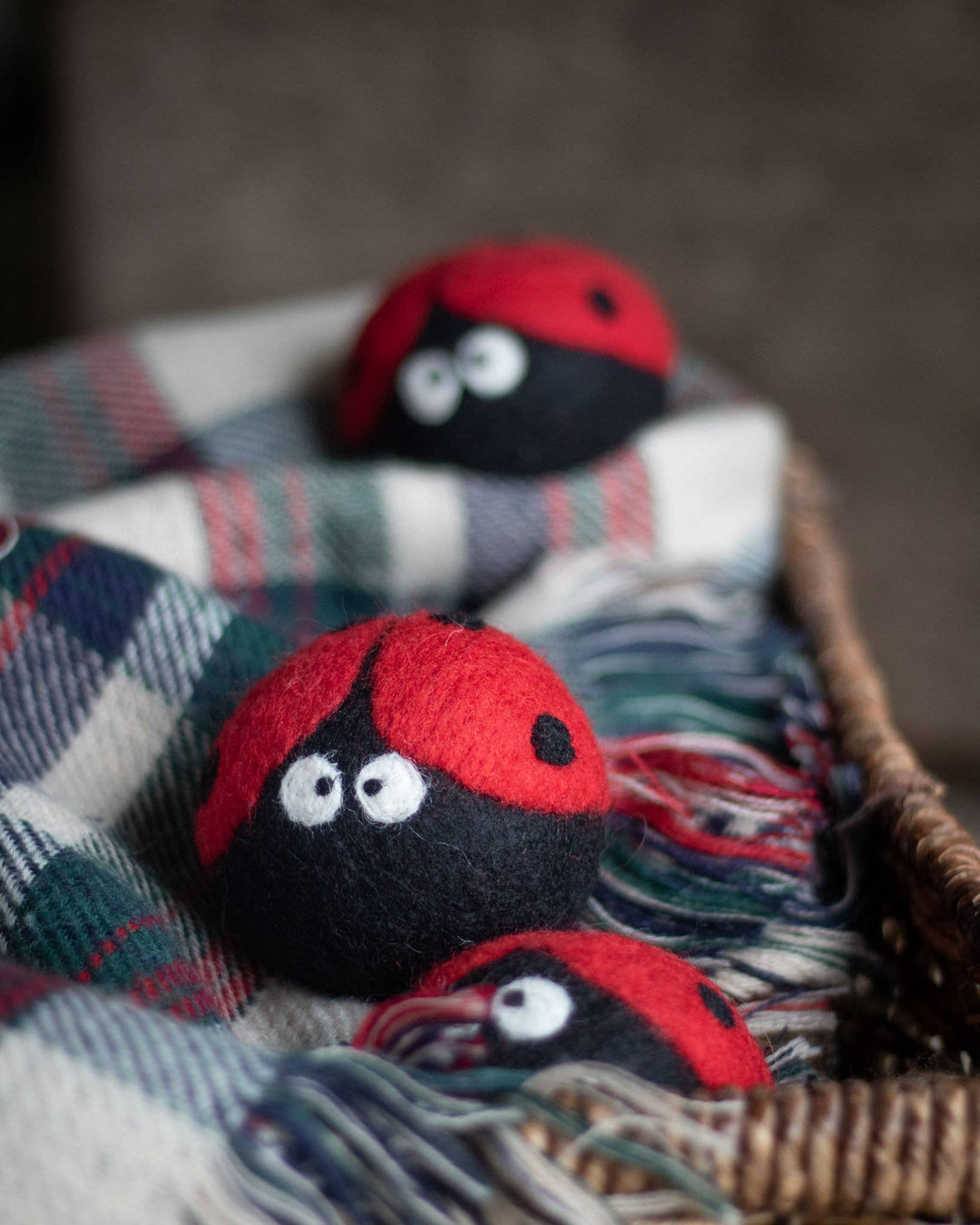 Ladybug Eco Dryer Balls - Echo Market