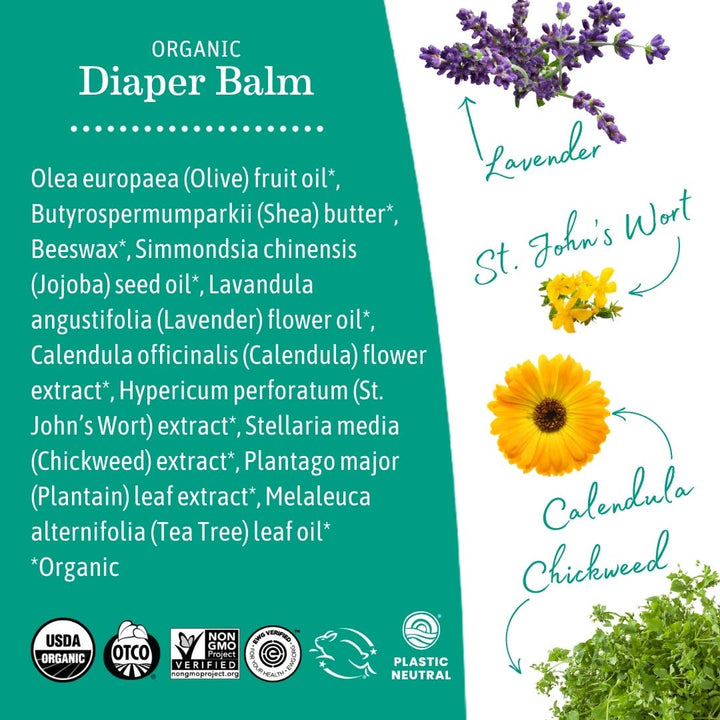 Organic Diaper Balm - Echo Market