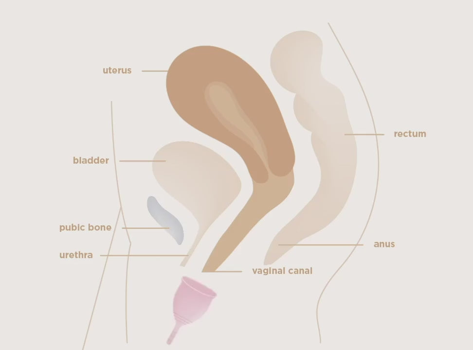 Saalt Menstrual Cup | Ocean Blue