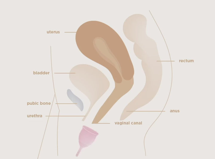 Saalt Menstrual Cup | Ocean Blue
