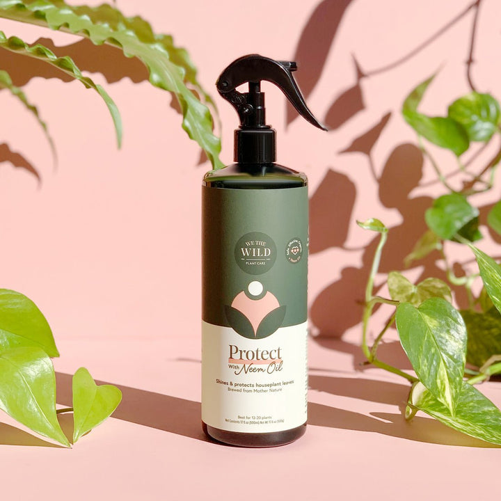 Protect Spray with Neem Oil - Echo Market