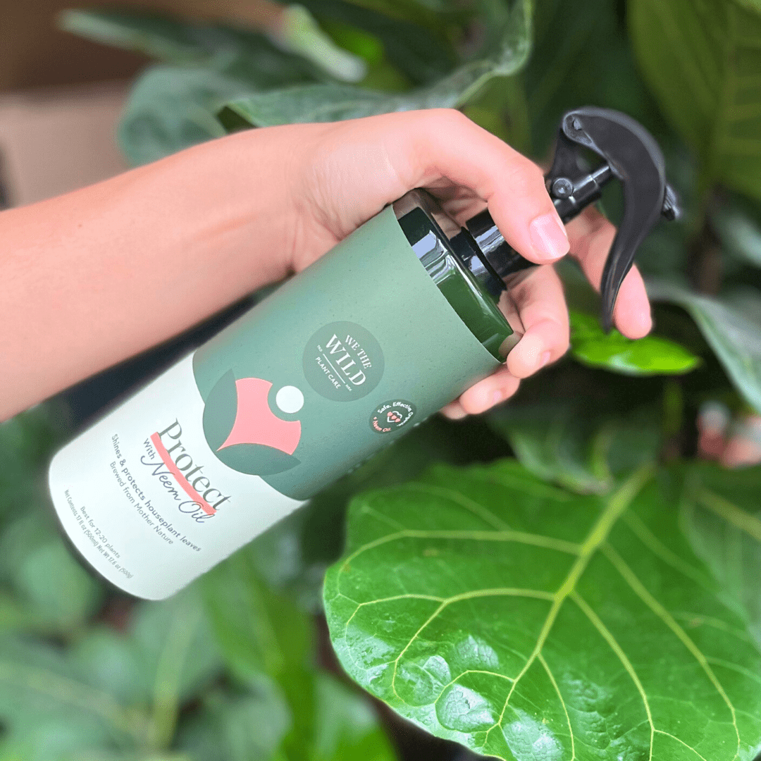 Protect Spray with Neem Oil - Echo Market