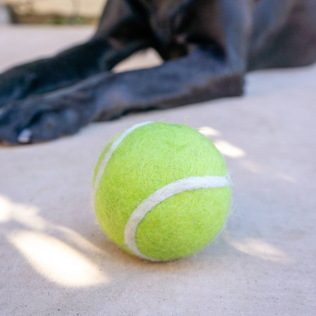 Tennis Eco Wool Dryer Balls - Echo Market