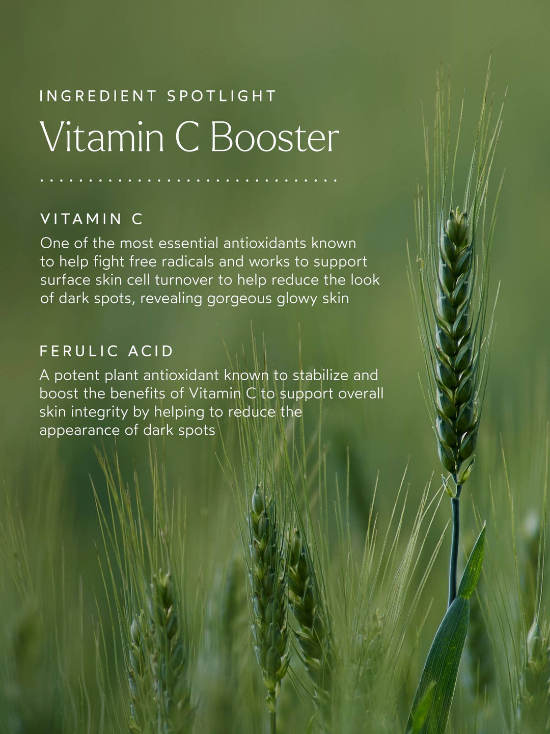 Vitamin C Booster - Echo Market