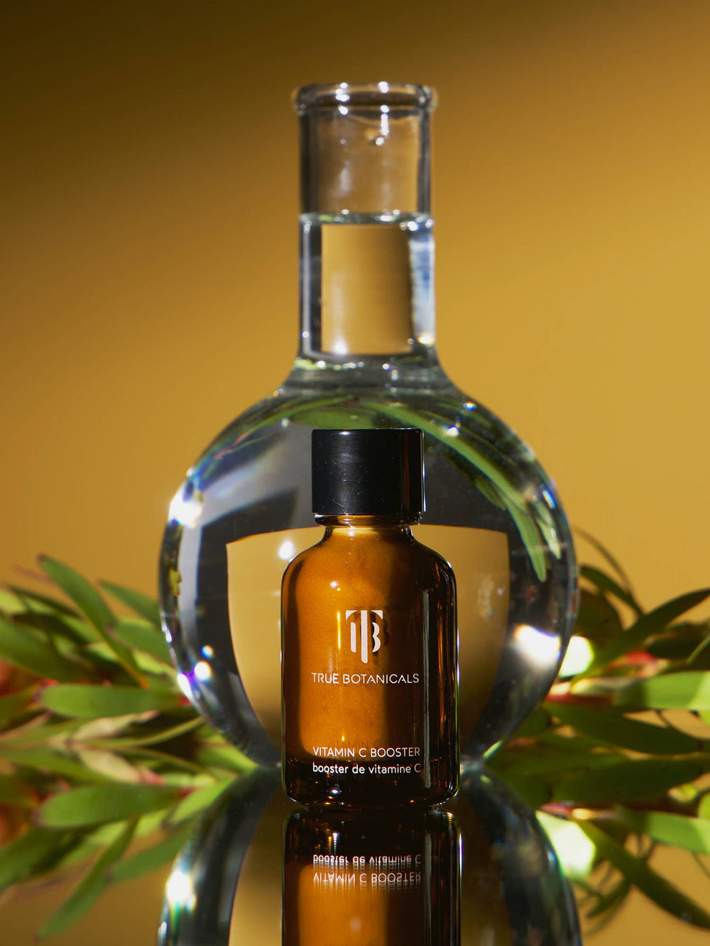 Vitamin C Booster - Echo Market