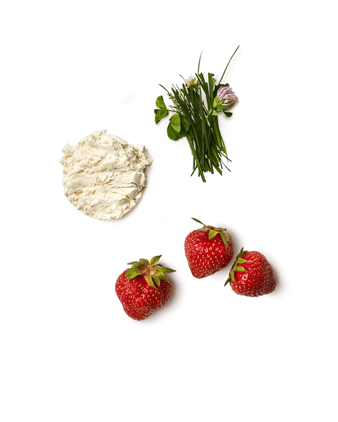 Whey Protein Isolate Powder | Strawberry Milk - Echo Market