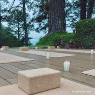 Cork Yoga Block - Echo Market