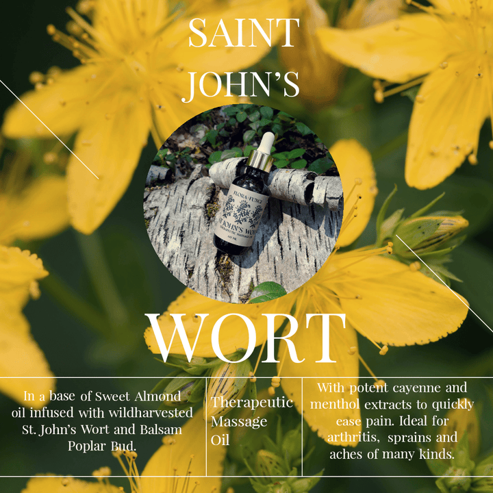 St. John's Wort Therapeutic Massage Oil - Echo Market