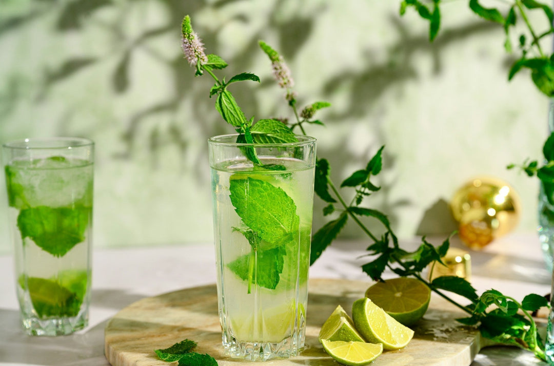 5 Herbal Mocktail Recipes to Sip Under the Sun - Echo Market