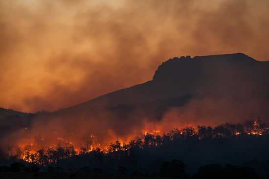 How Poor Air Quality Affects Your Holistic Health - Echo Market