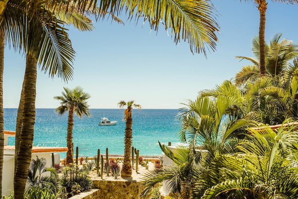 A distant boat floating in the bright blue waters of Cabo San Lucas with palm trees framing the photo