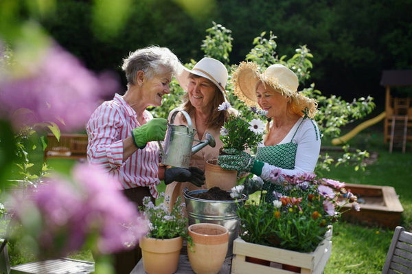 A group of three mature women, smiling at each other, while gardening in the spring sunshine