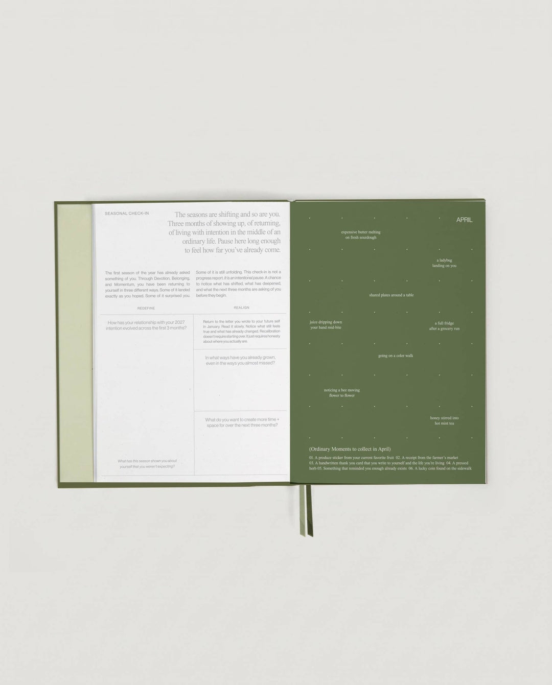 2027 Intentional Planner - Echo Market