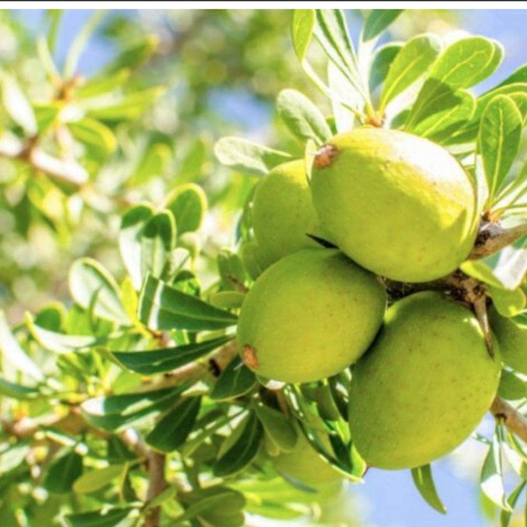 WOO™ Argan Oil