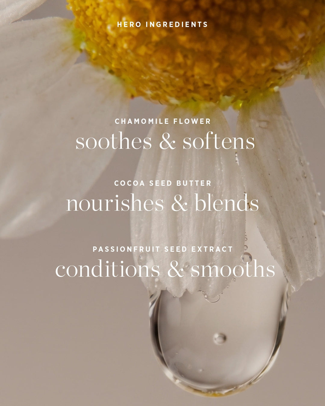 Chamomile Eye Palette