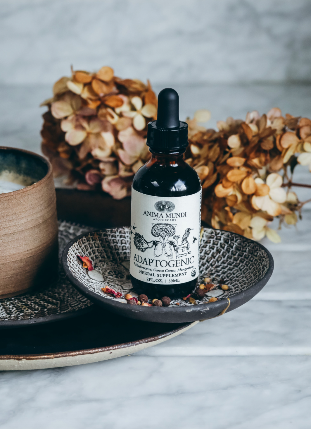 Organic Adaptogenic Tonic | 7 Mushrooms, Camu Camu, Mangosteen