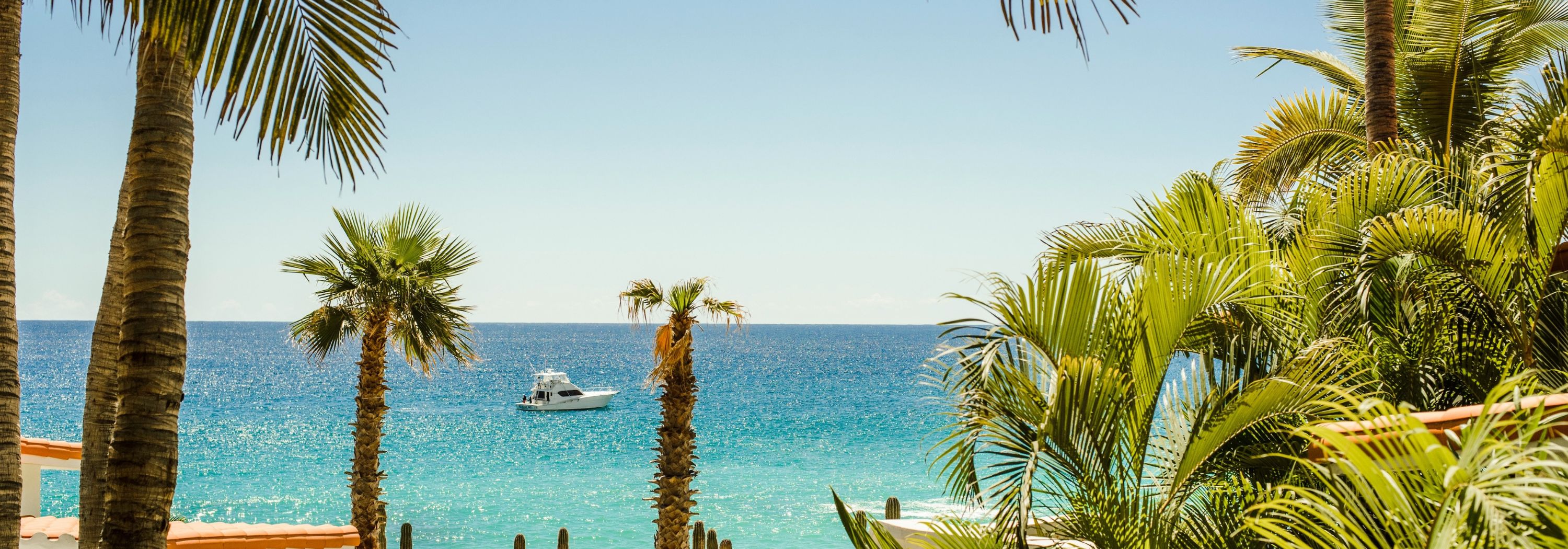Beach scene with palm trees and clear blue water