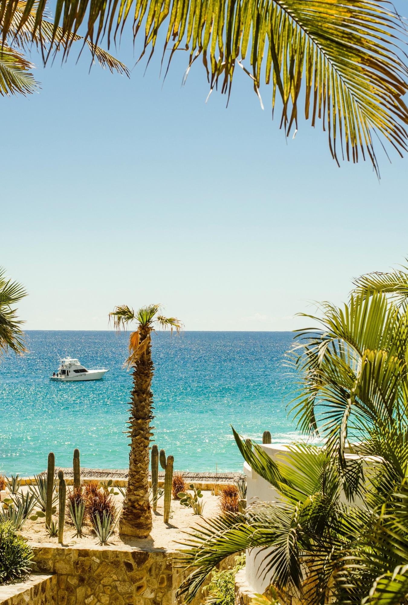Tropical beach scene with palm trees, clear blue water, and a boat.