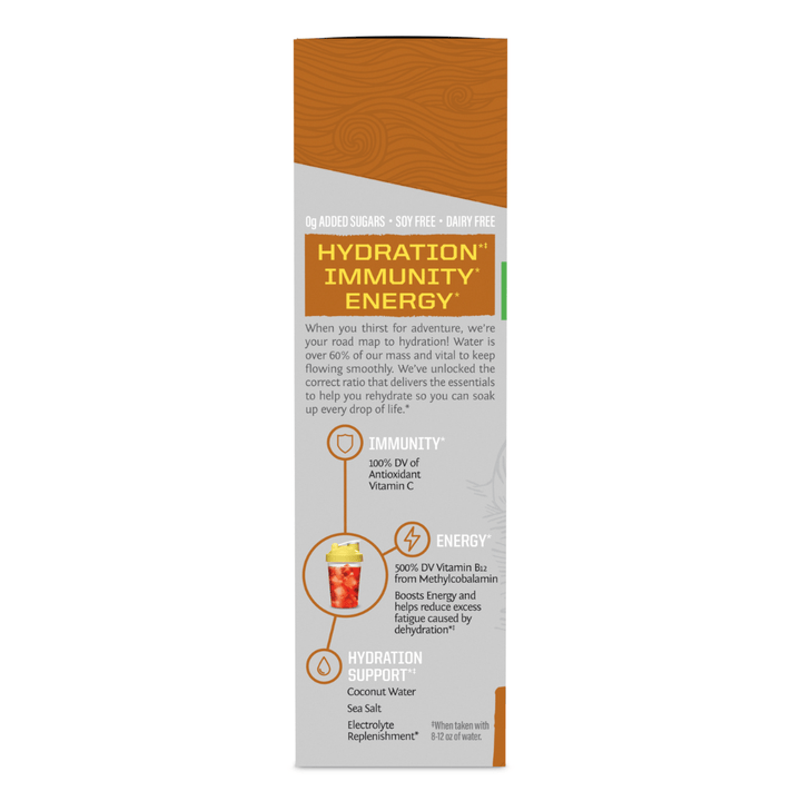 Active Hydration Sticks - Echo Market