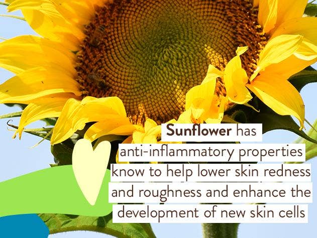Sensitive Baby Mineral Sunscreen Lotion | SPF50