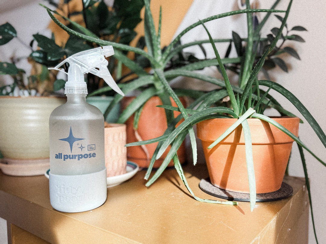 All Purpose Spray Starter Kit - Echo Market