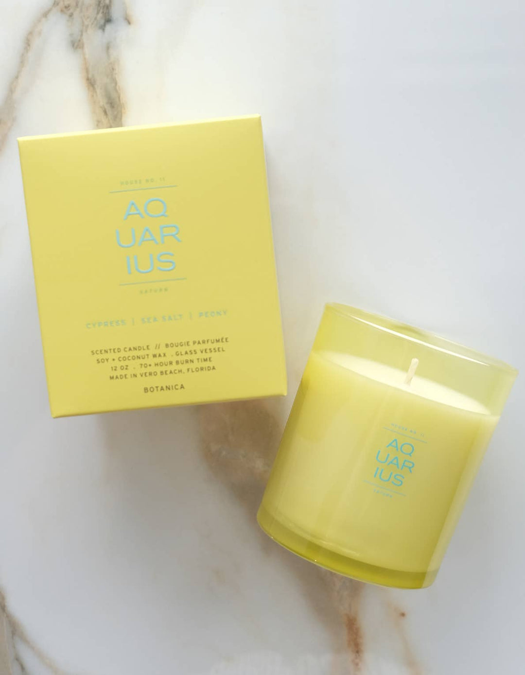 Aquarius Zodiac Candle - Echo Market