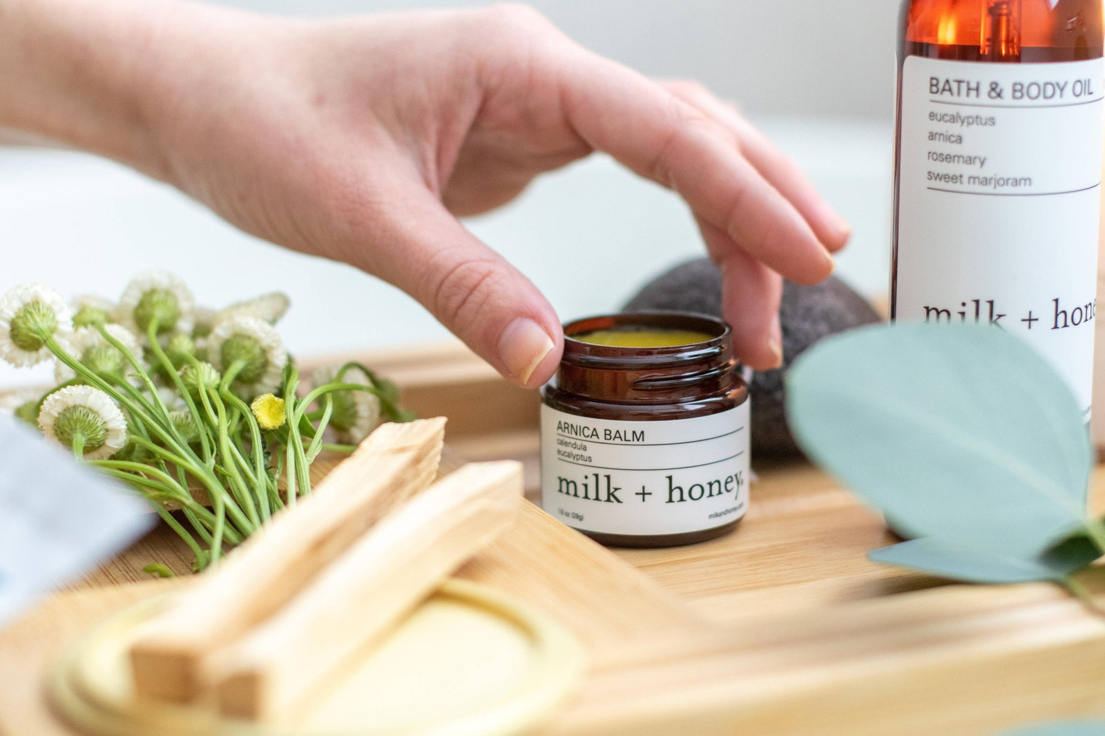 Arnica Balm | Calendula + Eucalyptus - Echo Market