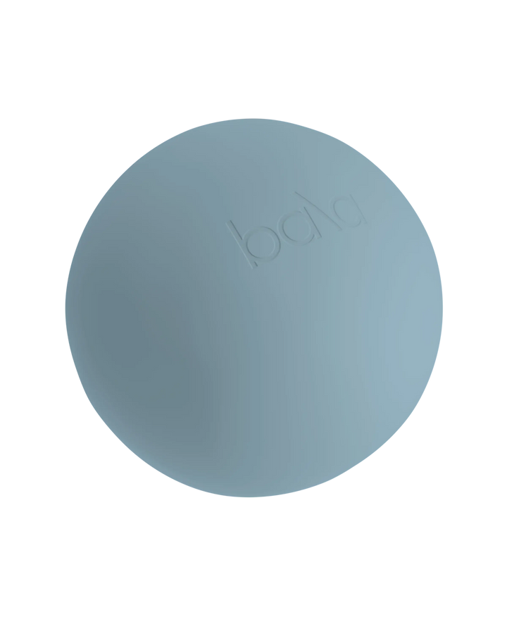 Bala Pilates Ball - Echo Market