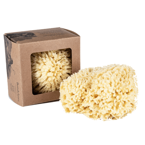 Bath Sea Sponge - Echo Market