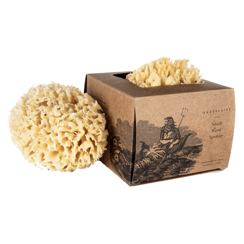Bath Sea Sponge - Echo Market