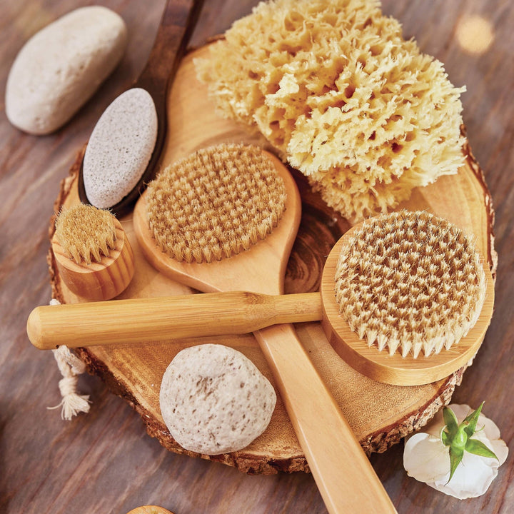 Bath Sea Sponge - Echo Market