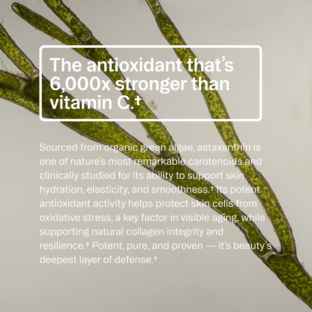 Text about antioxidant properties with a green algae background