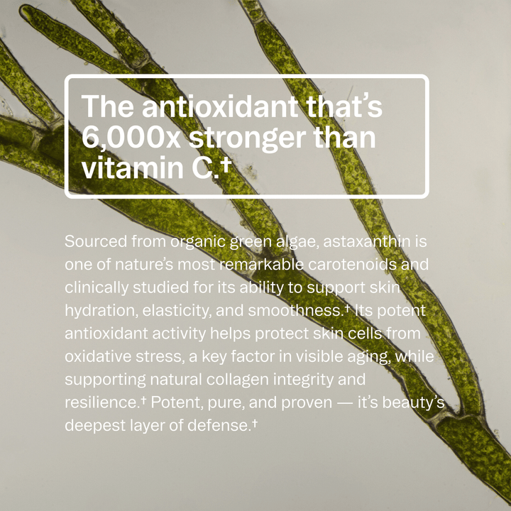 Text about antioxidant properties with a green algae background