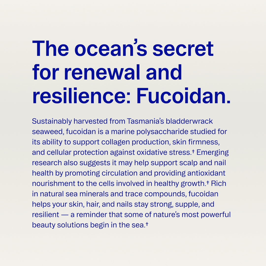 Text about fucoidan, a marine polysaccharide from Tasmania&