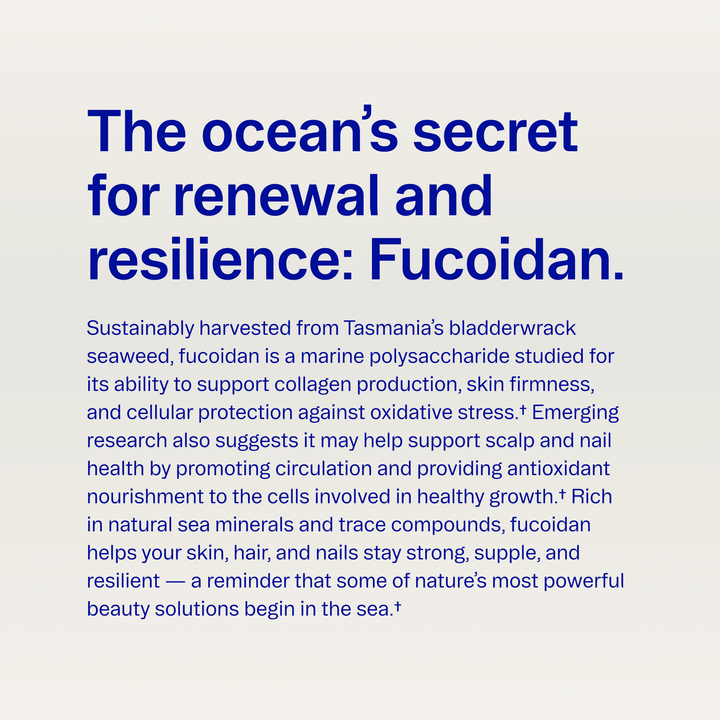 Text about fucoidan, a marine polysaccharide from Tasmania&