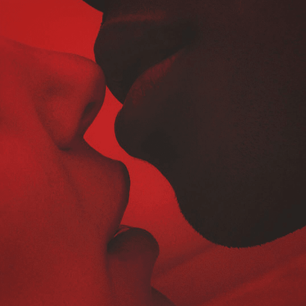 BIG ORGASM | Adaptogenic Chocolate Bar - Echo Market