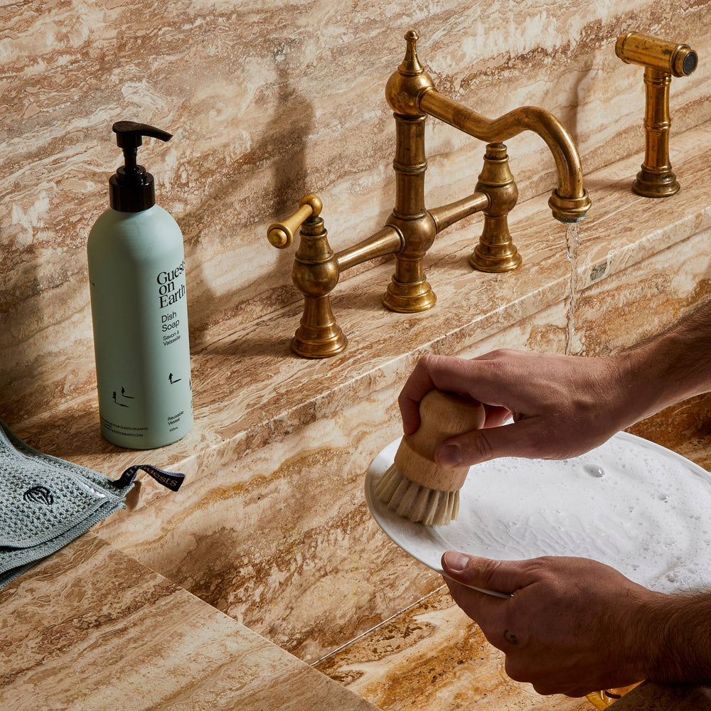 Biodegradable Dish Soap - Echo Market