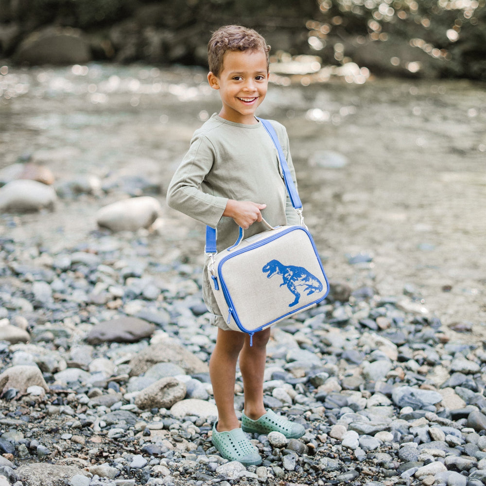 Blue Dino Lunch Box for Kids - Echo Market