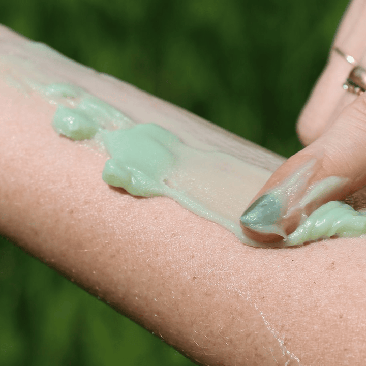 Blue Tansy Tallow Balm - Echo Market