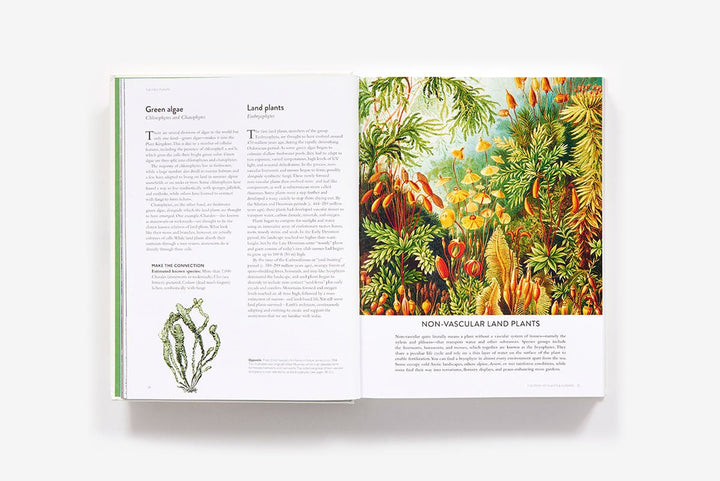 Open book showing illustrations of plants and text on a white background