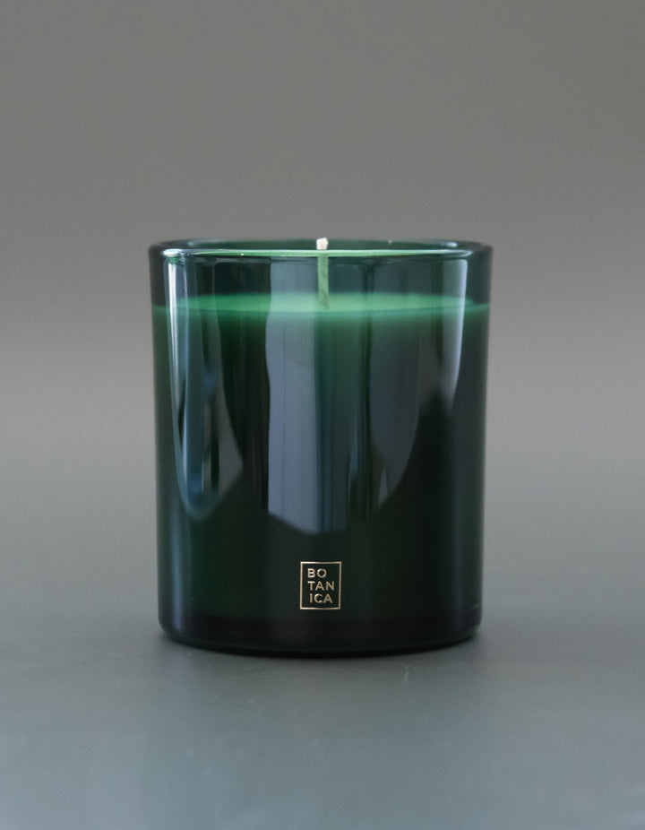 Fraser Fir Holiday Candle