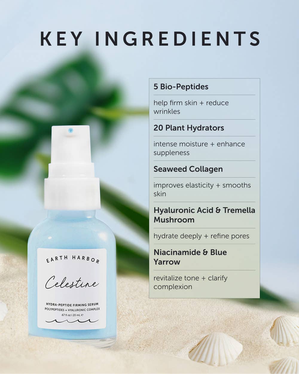 CELESTINE | Hydra - Peptide Firming Serum - Echo Market
